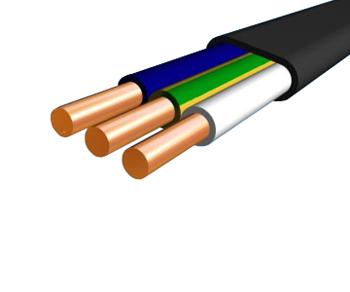 Провод ВВг-нг 3х10 (твердый) 1 м.